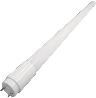 Eurolamp LED Lampen Kühles Weiß 1Stück