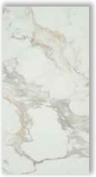 Gold Interior Floor Tile Matte 60x30cm