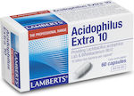 Lamberts Acidophilus Extra 10 Προβιοτικά 60 κάψουλες