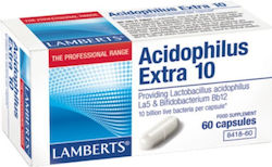 Lamberts Acidophilus Extra 10 Probiotics 60 caps