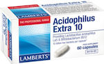 Lamberts Acidophilus Extra 10 Προβιοτικά 60 κάψουλες