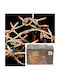 MSA Decorative Lamp Transparent