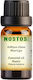 Αιθέριο Έλαιο Μαστίχα Mastic 50ml