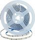 Optonica LED Strip 12V Natural White Light 5m Type SMD2835