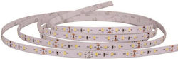 Eurolamp Ταινία LED 12V