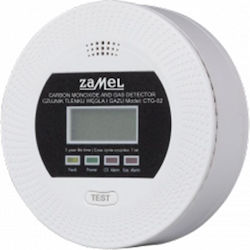 Rauchgas-Sensor 2in1 Ctg-02
