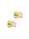 Earrings made of Gold 14K