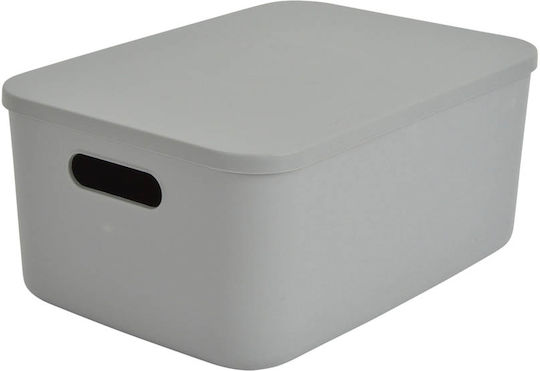 Plastic Cutie de Depozitare cu Capac Gri 34.9x24.8x15.5cm 1buc