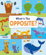 What's The Opposite?
