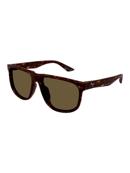 Puma Sonnenbrillen mit Braun Schildkröte Rahmen und Braun Linse PU0441S 002