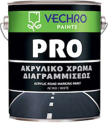 Vechro Plastic Acrilyc Paint Black