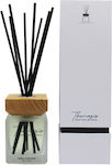 Themagio Diffuser 0030468 100ml