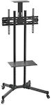 Aisens FT70TE-035 TV Mount Floor up to 70" and 50kg Silver