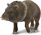 Miniatur-Safari Peccary Südamerikanisches Schwein Miniaturen