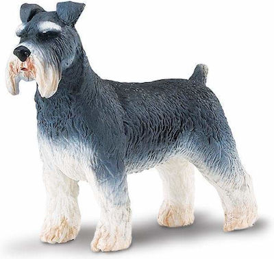 Miniature Safari Schnauzer Snowshoe Schnauzer