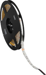Kanlux Bandă LED 12V cu lumină RGB 5m Kanlux Bandă LED 12V cu lumină RGB 5m