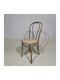 Beech Wood Scaune Cafe Lemn Gri 1buc 42x42x88buc