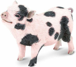 Safari Ltd Pig 13.3cm