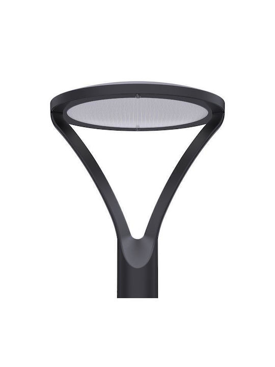 Eurolamp Outdoor Floor Lamp LED Road 30W with Natural White Light IP66