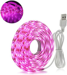 LED Strip Power Supply USB (5V) with Pink Light Length 3m SMD3528