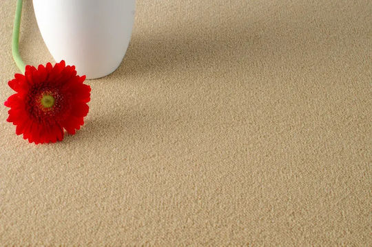 Carpet Bari 2603 13mm Beige 400x