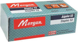 Morgan 04792 Staples 5000pcs