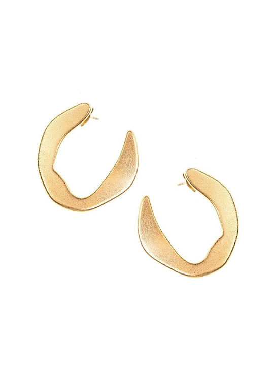 Paraxenies Earrings made of Steel Gold Plated