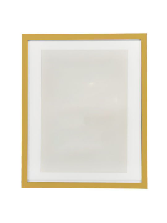 Bros Frame Plastic 40cmx60cm with Gold Frame