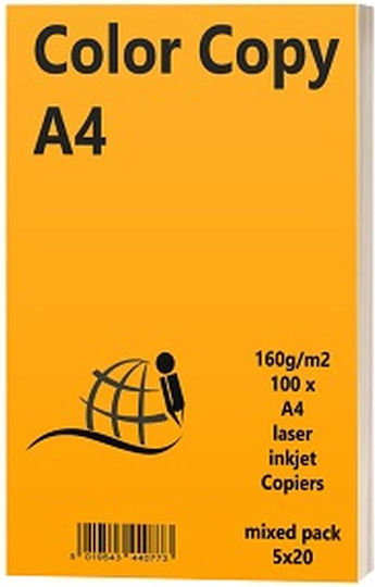 Gimboo Printing Paper A4 160gr/m² 100 sheets