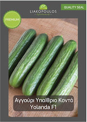 Liakopoulos Fytotechniki Seeds Cucumber