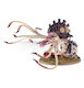 Games Workshop Warhammer 40 000 Тираниди Тиранид Фигури 55 Бройки