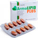 Mylan Armolipid Plus Ειδικό Συμπλήρωμα Διατροφής 20 ταμπλέτες