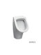Serel Orkide Urinal Without Cover White