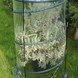 Verdemax Greenhouse with Plastic Frame