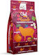9kg Dry Food Grain-Free & Gluten-Free for Puppies with Lamb and Pumpkin