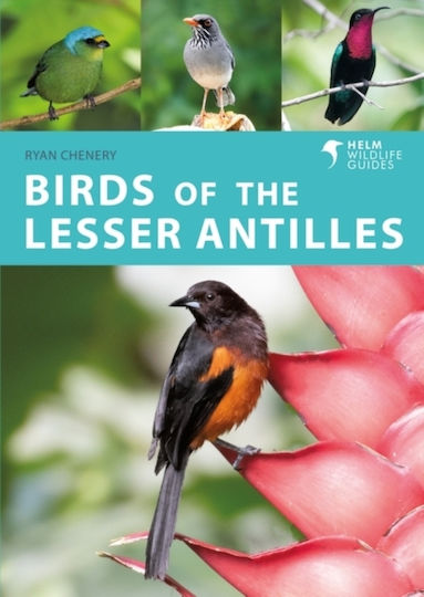 Birds Of The Lesser Antilles Ryan Chenery 0830