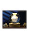 Total Gift Decorative Table Lamp