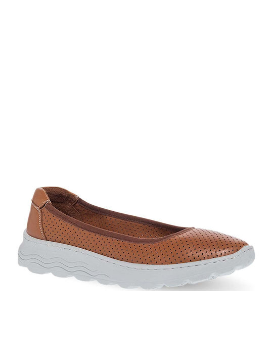 Parex Leder Damen Ballerinas Spitz zulaufend Ta...
