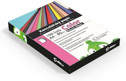 Alza Printing Paper A4 80gr/m² 100 sheets Pink