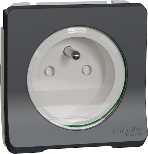 Schneider Electric Mureva Einzeln Gemauert Stromsteckdose Wasserdicht Gray 1Stück