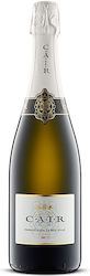Cair Λευκό Ξηρό Αφρώδες 750ml Cair Λευκό Ξηρό Αφρώδες 750ml