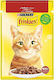 Friskies Wet Food for Cats with Beef 85gr