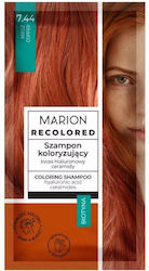 Marion Recolored Marion Recolored
