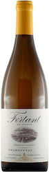 Fortant De France Λευκό Ξηρό 750ml Fortant De France Λευκό Ξηρό 750ml