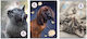 Beniamin Set 5 Notizbücher Quadrat