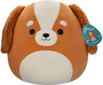 Squishmallows 31cm Ysabel Spaniel Hund