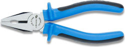 Högert Technik Zange Länge 160mm HT1P006