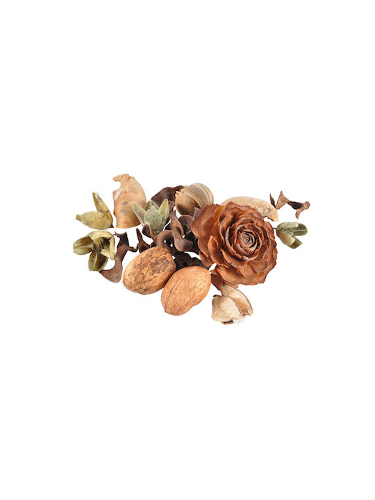 Potpourri 6POT085OP 110gr