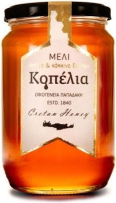 Μελιός Μέλι Θυμαρίσιο 950gr 004-008