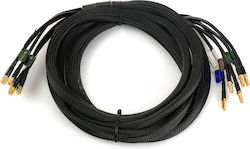 Poynting Verschiedene Kabel 3m A-CAB-119